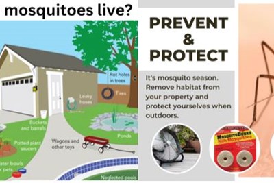 Mosquitoes and What you can do to Prevent and Protect